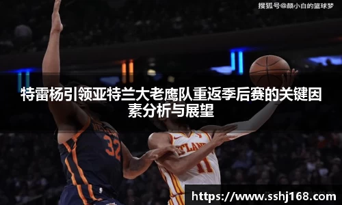 K1体育特雷杨引领亚特兰大老鹰队重返季后赛的关键因素分析与展望